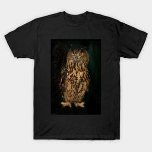 Portrait Of An Eagle Owl T-Shirt